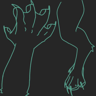 Hand and Foot Paw References. All rinkits have webbing between their paws, but the amount can vary. They also have highly dexterous feet, which enables them to climb very easily.